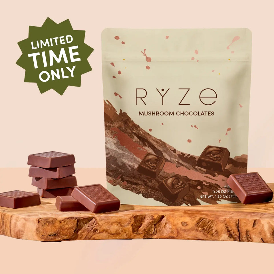 Mushroom Chocolates Rye (15 pieces) - Easy Active Fit